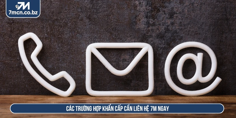 Các trường hợp khẩn cấp cần liên hệ 7M ngay