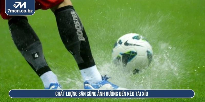 Chất lượng sân cũng ảnh hưởng đến kèo tài xỉu  