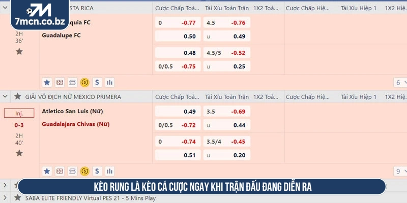 Kèo rung là kèo cá cược ngay khi trận đấu đang diễn ra  