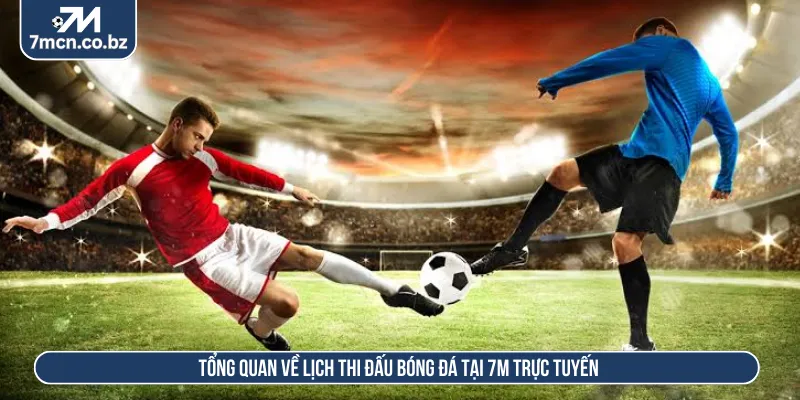 Lịch thi đấu tổng hợp đầy đủ các thông tin bóng đá rõ ràng